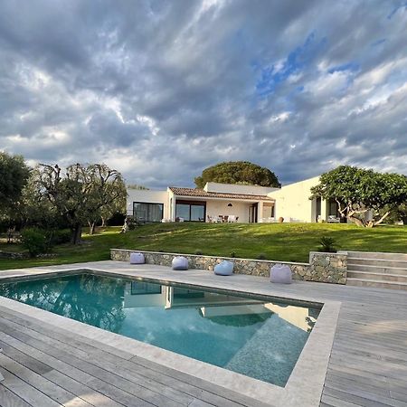 Magnifique Villa Moderne Avec Piscine La Gaude Eksteriør bilde