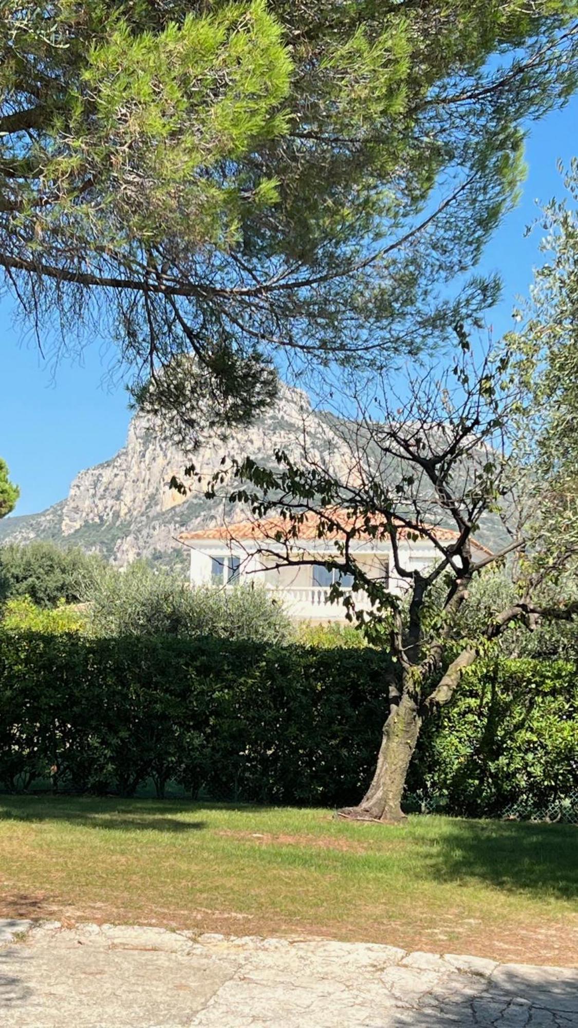 Magnifique Villa Moderne Avec Piscine La Gaude Eksteriør bilde