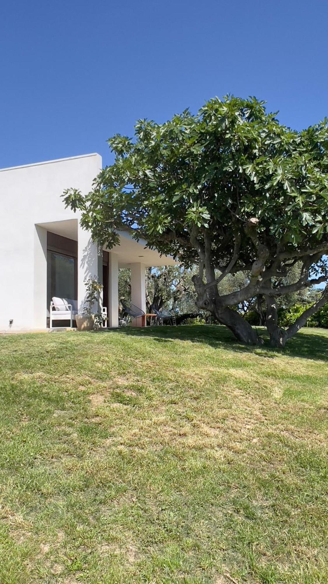 Magnifique Villa Moderne Avec Piscine La Gaude Eksteriør bilde
